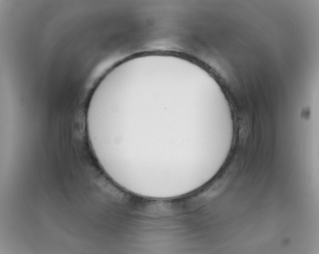 X0000090741358200708171959