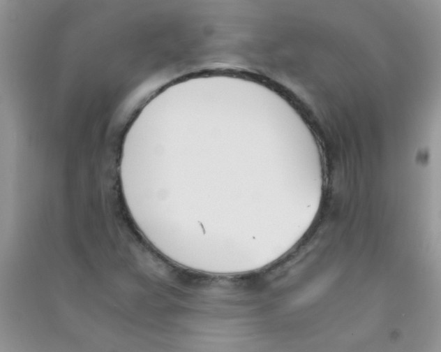 X0000090741359200708171959