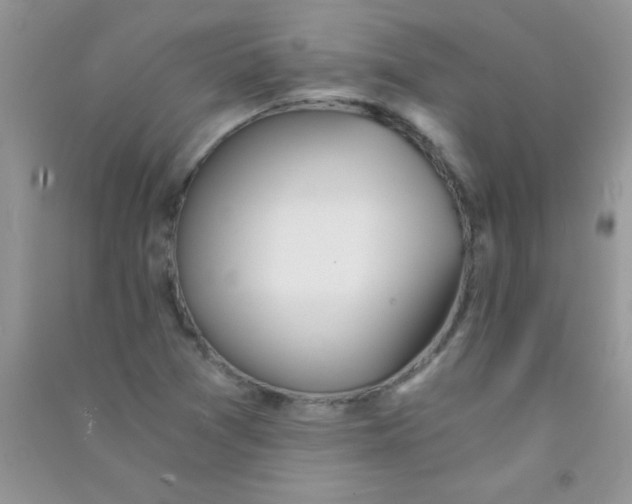 X0000090741361200708171959