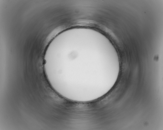 X0000090741362200708171959