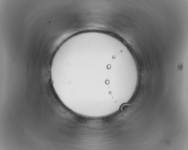 X0000090741363200708171959