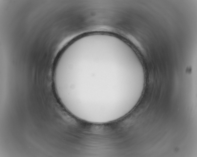 X0000090741364200708171959