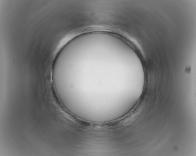 X0000090741365200708171959