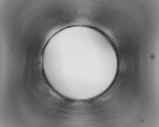 X0000090741366200708171959