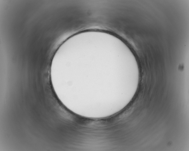 X0000090741367200708171959