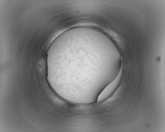 X0000090741369200708171959