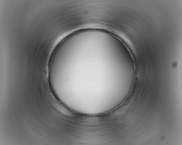 X0000090741372200708171959