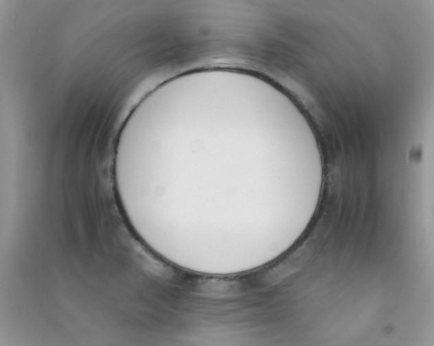 X0000090741374200708171959