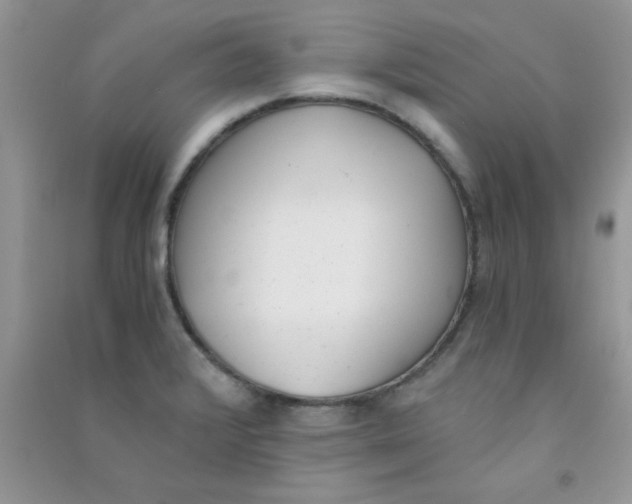 X0000090741376200708171959