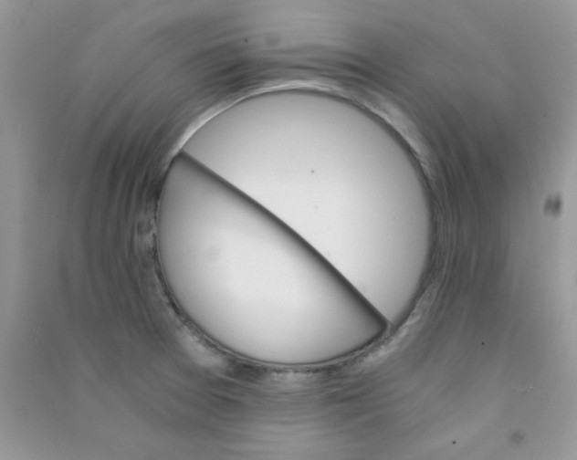 X0000090741377200708171959