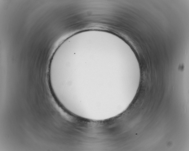 X0000090741379200708171959