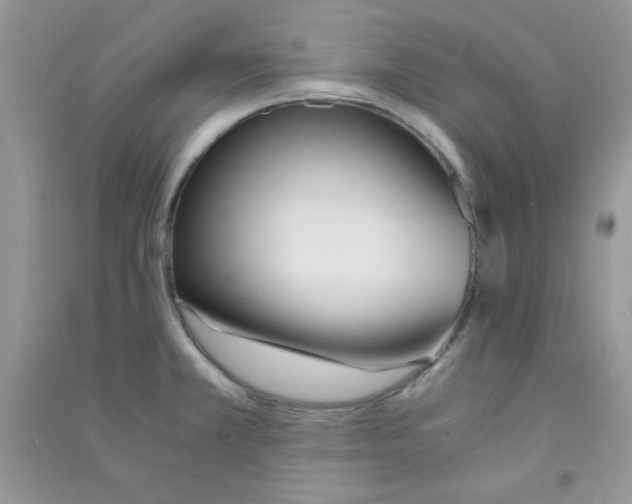 X0000090741381200708171959