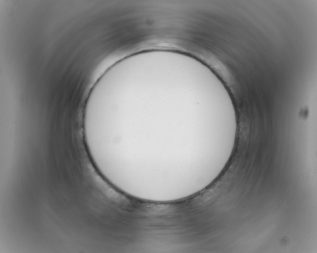 X0000090741382200708171959