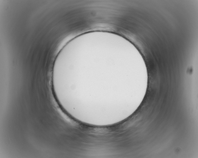 X0000090741383200708171959