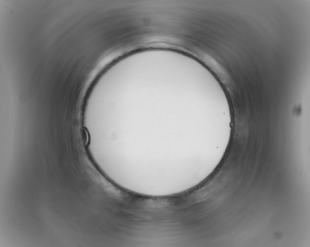 X0000090741384200708171959