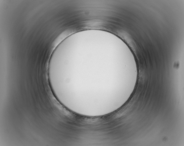 X0000090741386200708171959