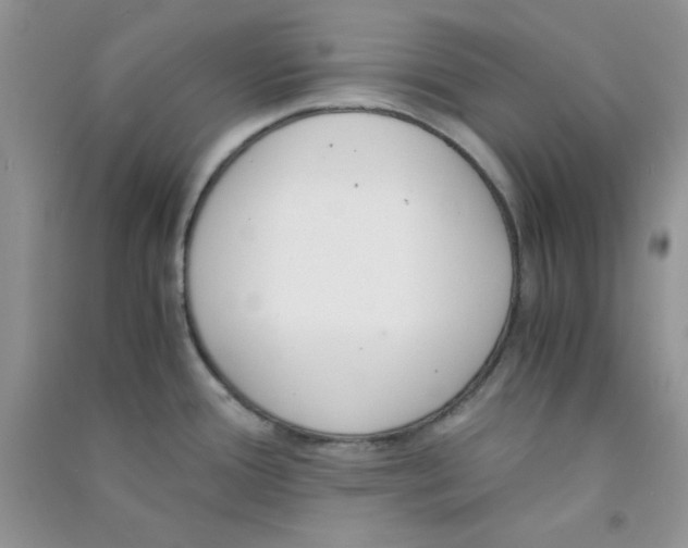 X0000090741388200708171959