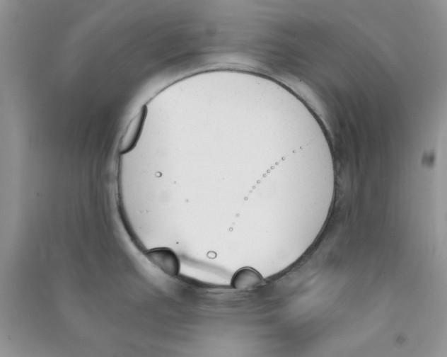 X0000090741391200708171959