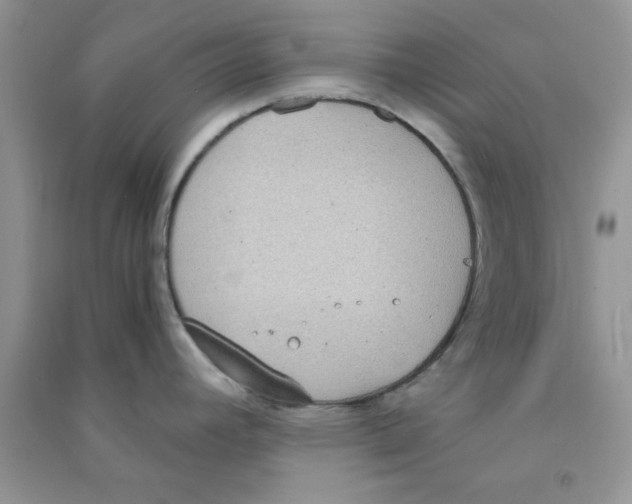 X0000090741392200708171959