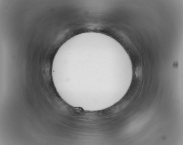 X0000090741396200708171958