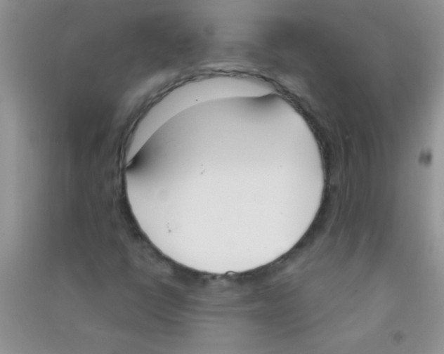 X0000090741398200708171958