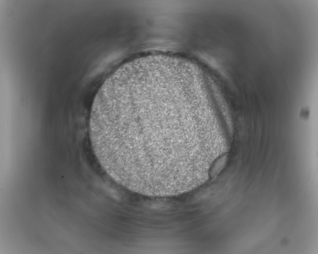 X0000090741399200708171958