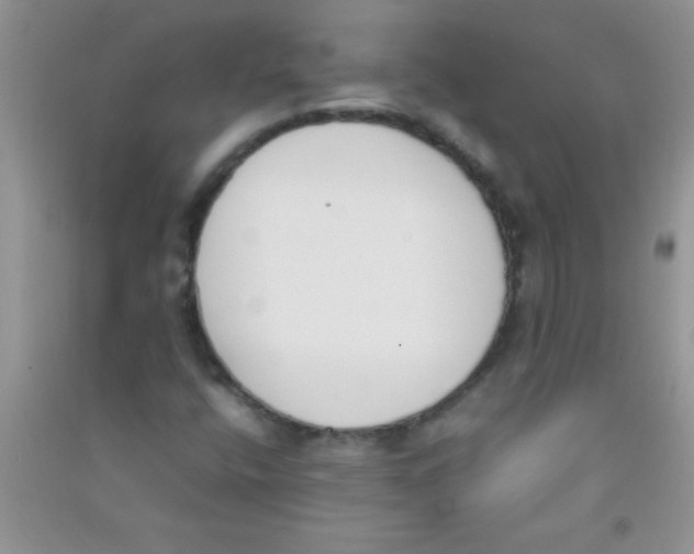 X0000090741400200708171958