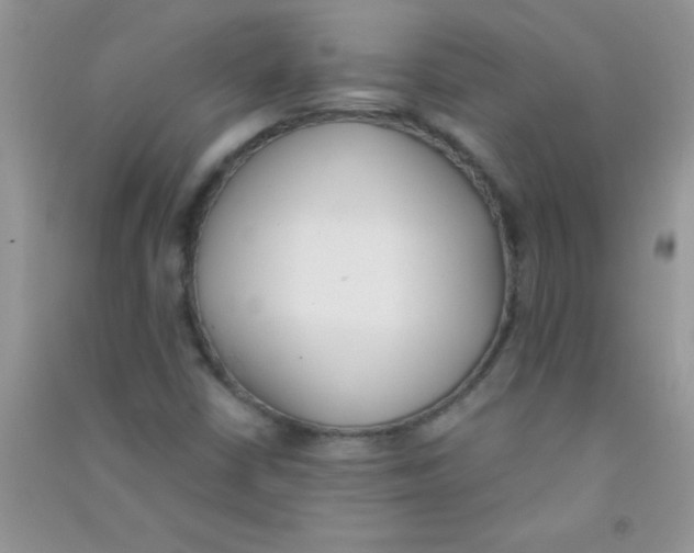 X0000090741402200708171958