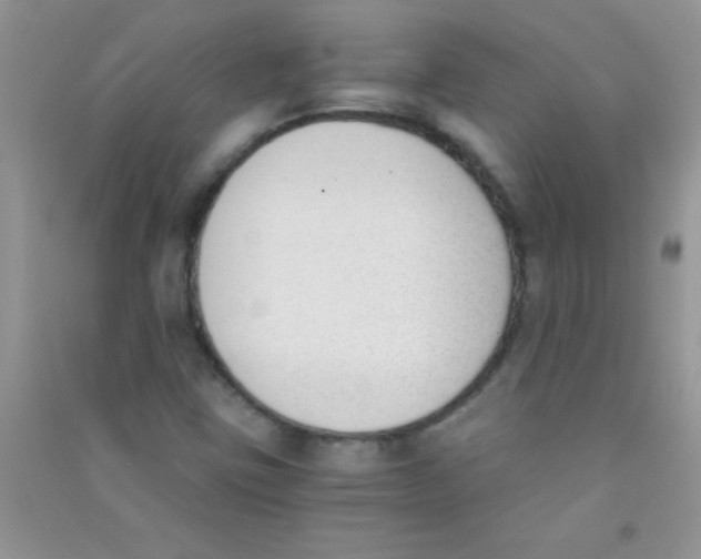 X0000090741403200708171958