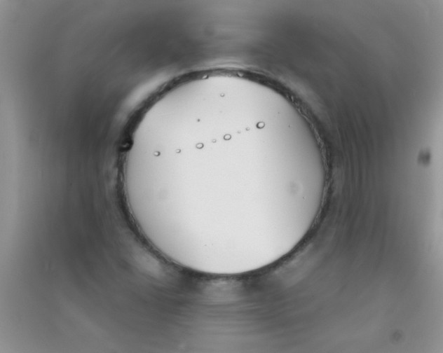 X0000090741406200708171958