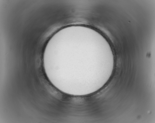 X0000090741407200708171958