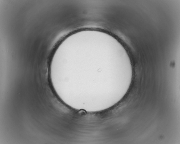 X0000090741408200708171958