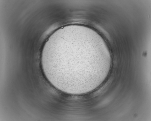 X0000090741411200708171958