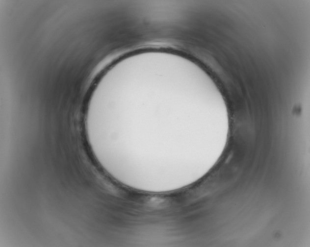 X0000090741412200708171958