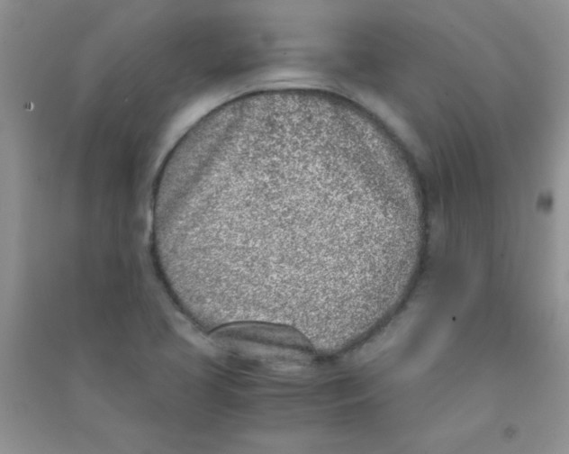 X0000090741413200708171958