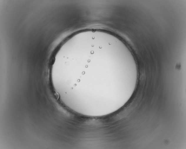 X0000090741414200708171958