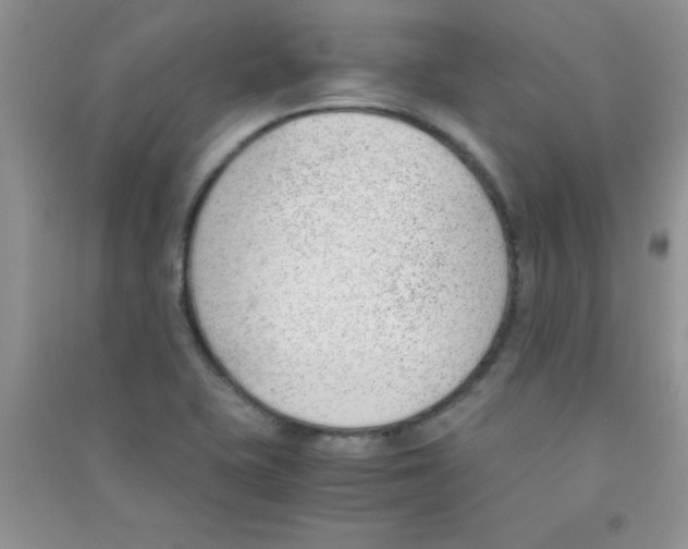 X0000090741415200708171958