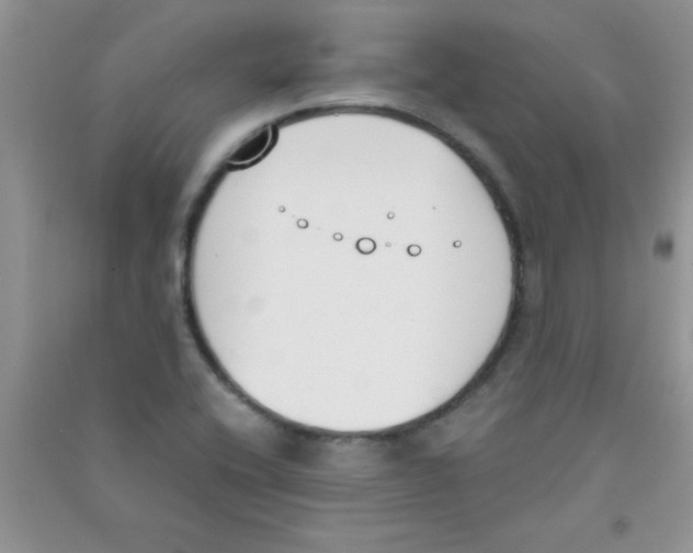 X0000090741416200708171958