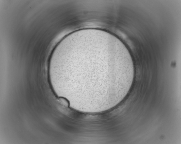 X0000090741419200708171958