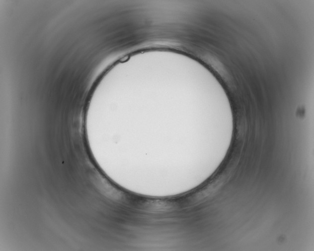 X0000090741420200708171958