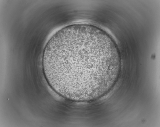 X0000090741421200708171958