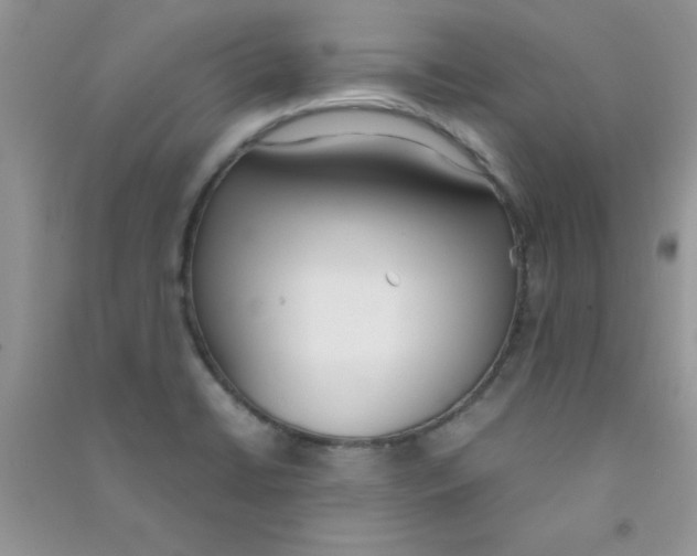 X0000090741422200708171958