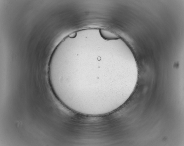 X0000090741423200708171958