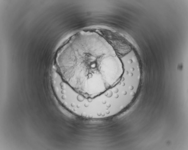 X0000090741425200708171958