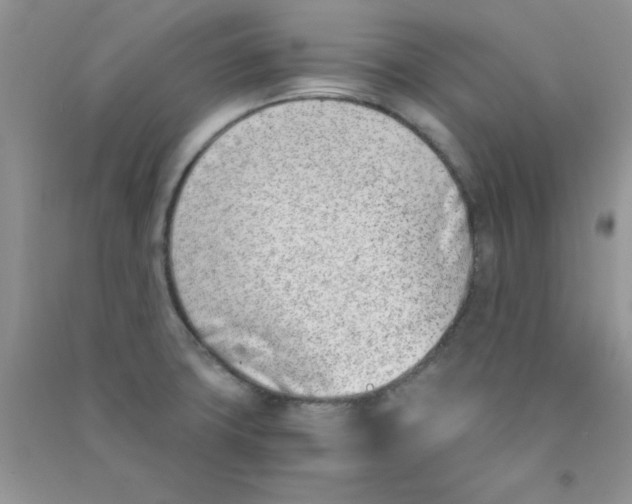 X0000090741427200708171958