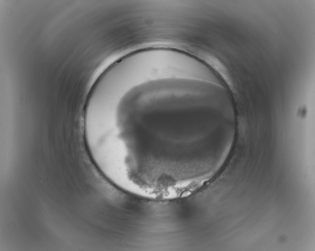 X0000090741428200708171958