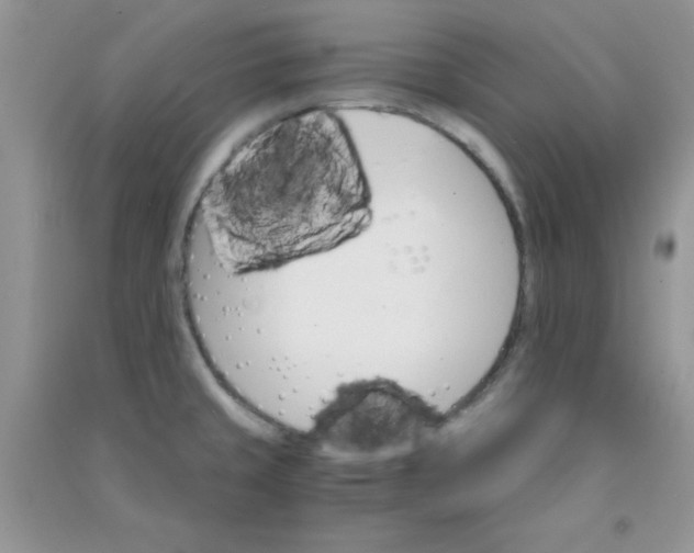 X0000090741429200708171958