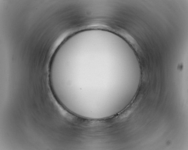 X0000090741430200708171958