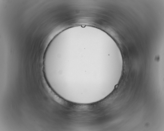 X0000090741431200708171958