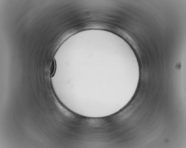 X0000090741433200708171958